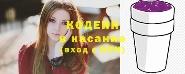 твердый Снежногорск