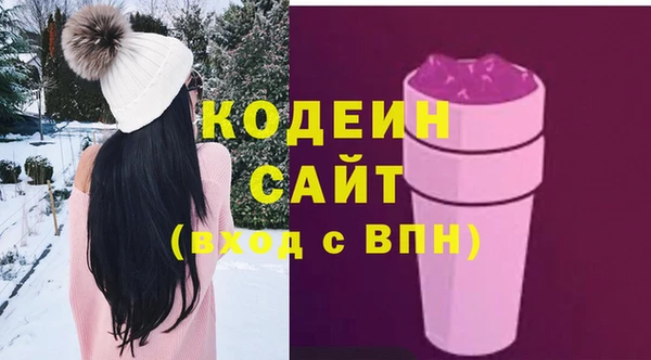 прущие грибы Инсар
